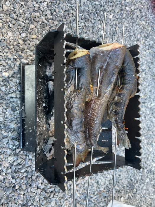 串焼きで魚が焼ける