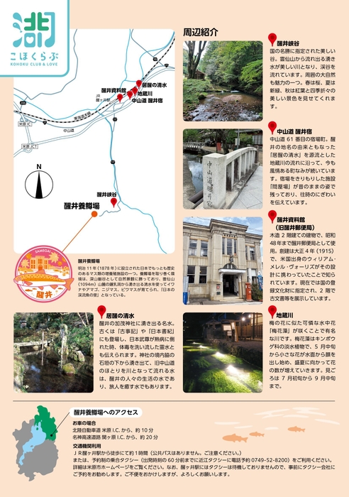 チラシ裏面