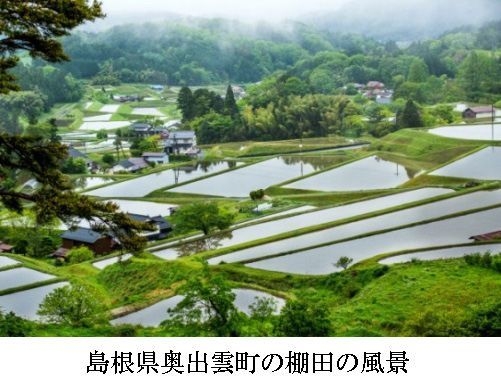 奥出雲町の棚田