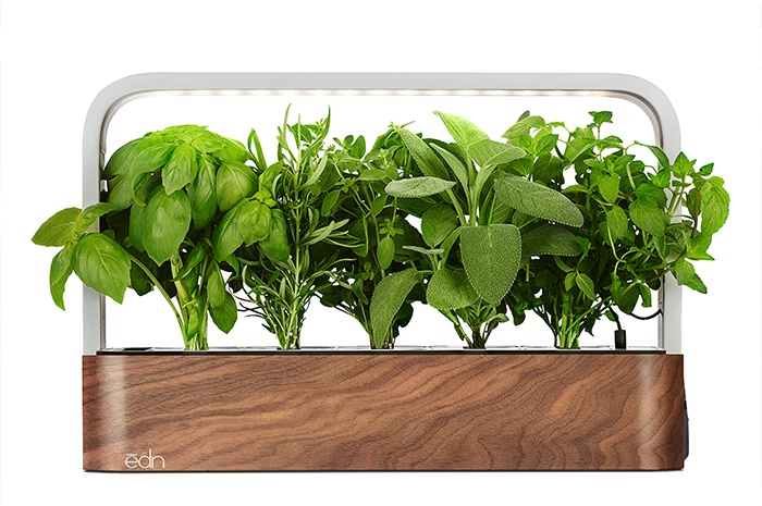 iPhoneで植物を育てる「ēdn SmallGarden」IoT スマートホームデバイス スターターキットをリリース