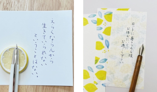 りさ氏愛用の万年筆や一筆せん