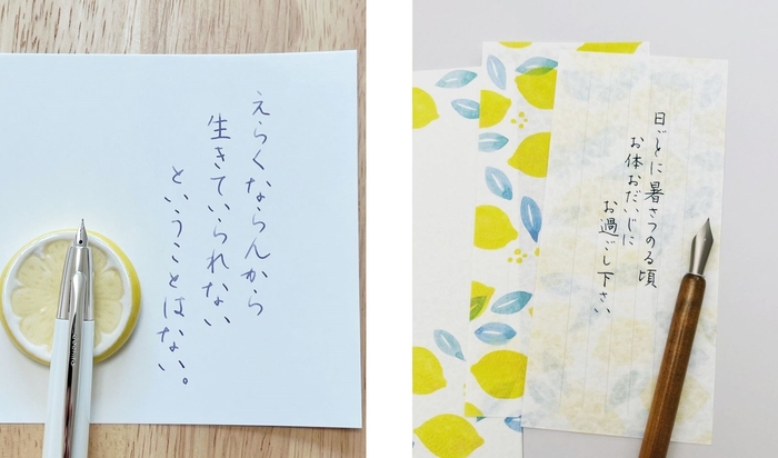 りさ氏愛用の万年筆や一筆せん