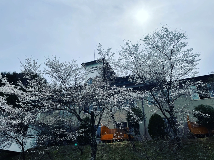 旅館の外観