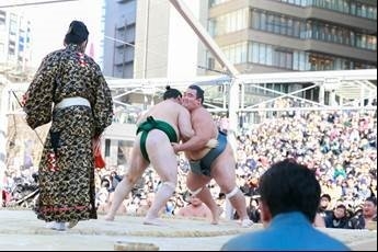 力士の取組