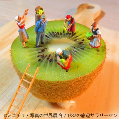 展示作品7