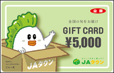 ＪＡタウンギフトカード５，０００円分