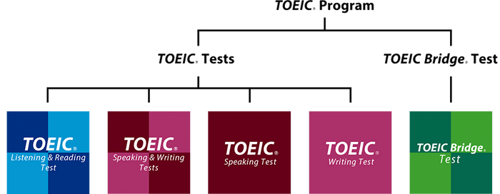 TOEIC(R) Program