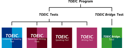 TOEIC(R) Program