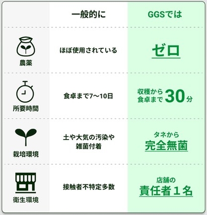 一般的な野菜との比較