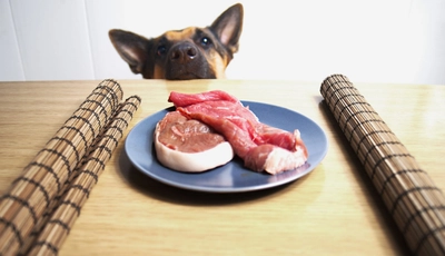 急増中！愛犬が喜ぶ魅惑のジビエ肉の食べ方を紹介