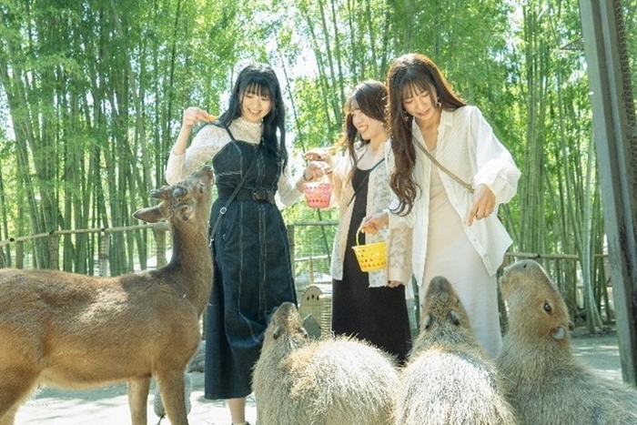 朝食後は、宿泊者限定で開園前のサユリワールドをお楽しみいただけます