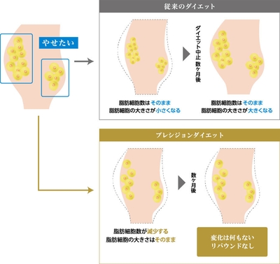 痩せられない原因とは?
