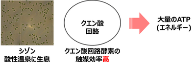図3