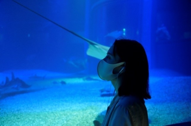 閉館後の海遊館（イメージ）