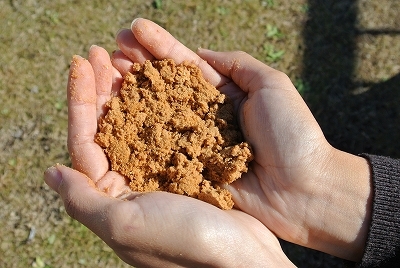 花と野菜の肥料「A-up」