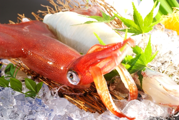 鮮度抜群の活け烏賊