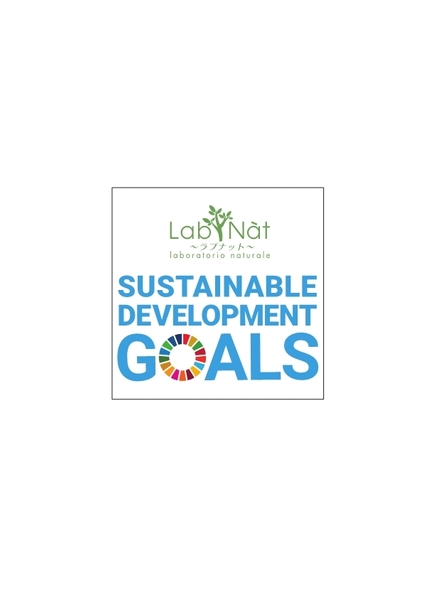 SDGs