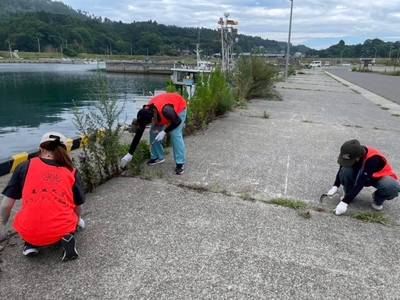 港での草刈り