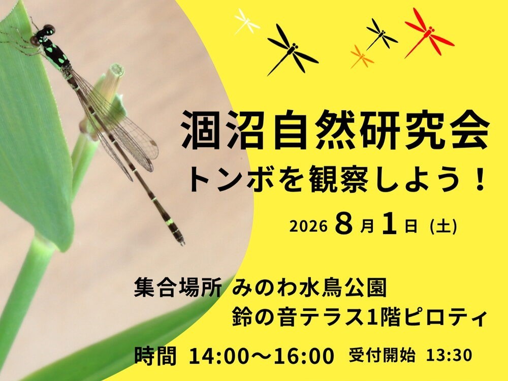 【茨城・鉾田市】涸沼で自然観察会「トンボを観察しよう!」8月1日(土)に開催