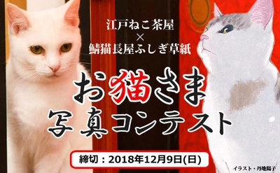 江戸ねこ茶屋×鯖猫長屋ふしぎ草紙 「お猫さま写真コンテスト」を開催