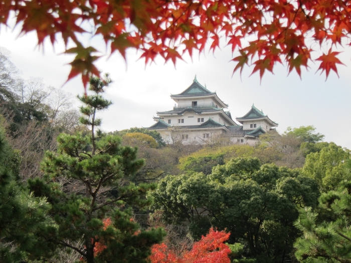 紅葉に染まる、秋の和歌山城