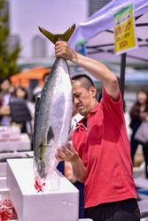 数の子の試食4,000人分！ざこばの朝市×世界の数の子博を 大阪市中央卸売市場前で11/25に開催　マグロ解体ショーなども