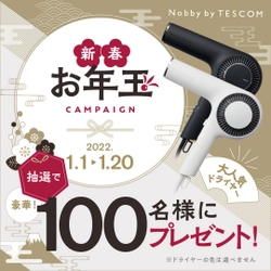 テスコム最上位機種(※1)ドライヤーを大奮発100台プレゼント！ お年玉キャンペーンを元日より実施