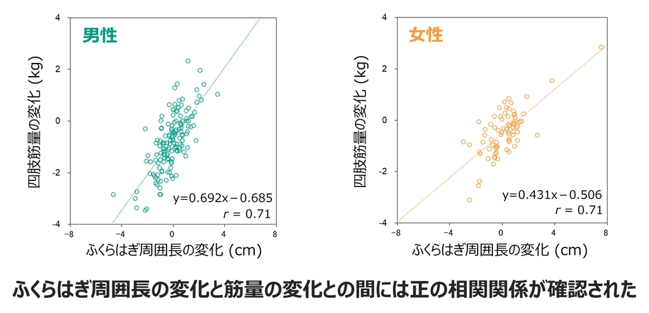 図. ふくらはぎ周囲長の変化と四肢筋量の変化の関係性(男女別)