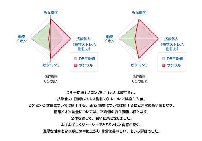 メロン分析結果