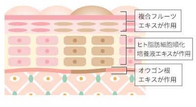 7-説明図
