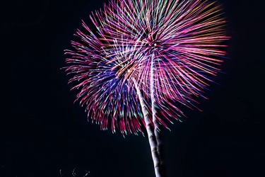 冬の星空に大輪の花　麗澤瑞浪花火大会