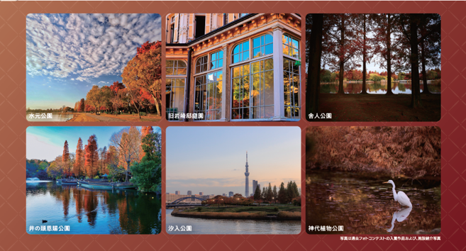 2026年10月30日（金）より募集スタート
秋のTOKYOInstagramフォトコンテスト2026