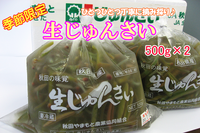 季節限定！ぷるぷる食感の秋田県産「生じゅんさい」を JAタウンのショップ「おらほの逸品館」で販売中！～サラダや麺類のトッピングにもおすすめ～