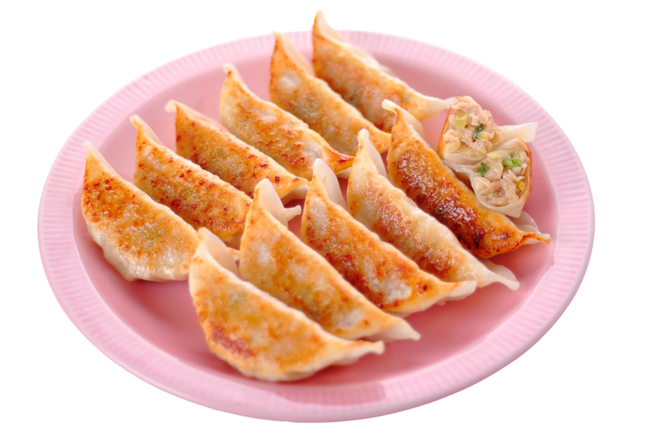 群馬県産春キャベツの肉餃子