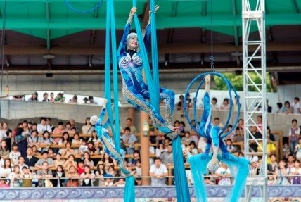 アクロバティックなパフォーマンス3 エアリアル