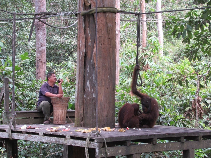 人の暮らしと動物の在り方を考える