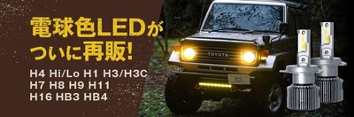 電球色LEDがついに再販開始!