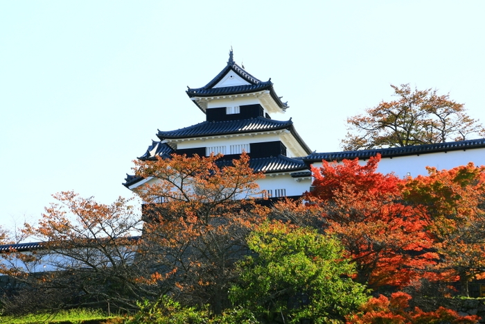 紅葉の小峰城