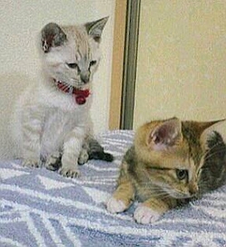 19歳の軌跡　うめ