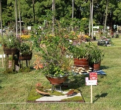 「爽籟 ~Sorai~」 山口 玲奈(千葉県)