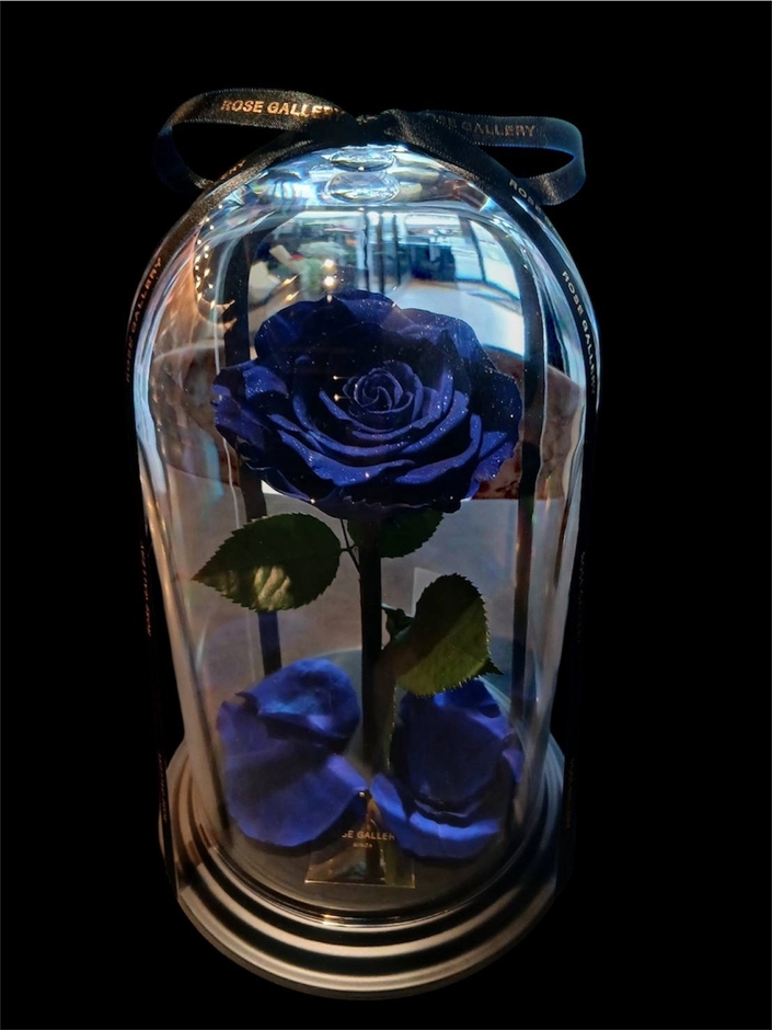Timeless Rose ベルローズ