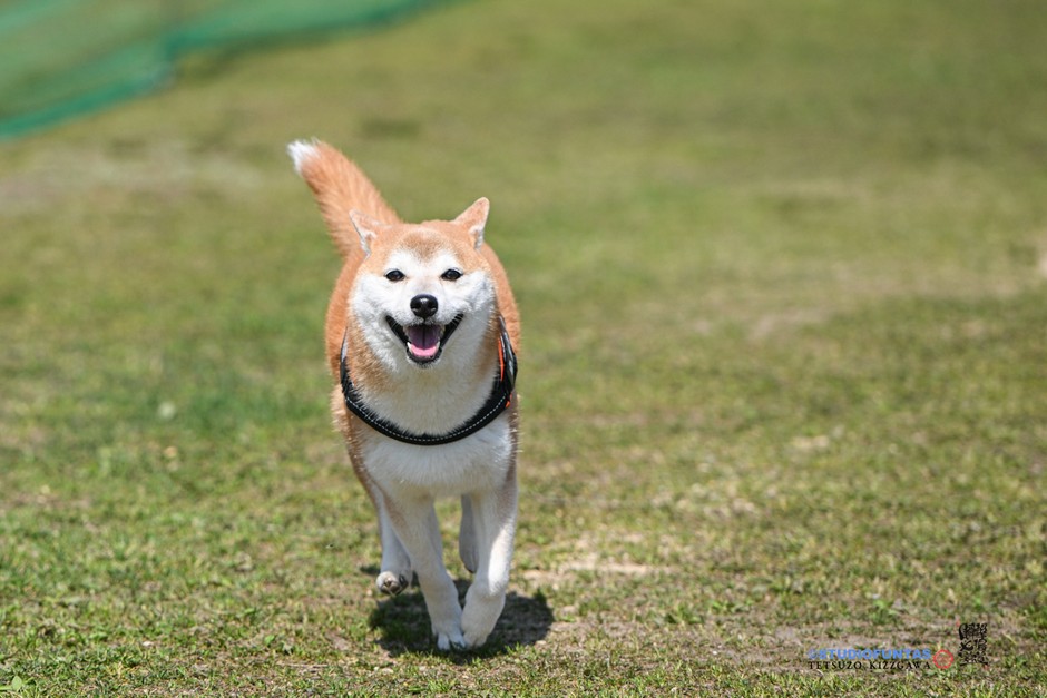 この笑顔の先にゴールがある
