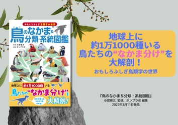 鳥たちの「なかま分け」を大解剖！『鳥のなかま＆分類・系統図鑑』3月11日発売