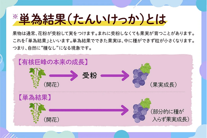 単為結果とは
