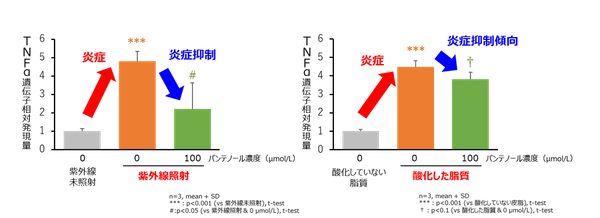 図3 表皮細胞における紫外線及び酸化した脂質による炎症に対するパンテノールの抑制作用