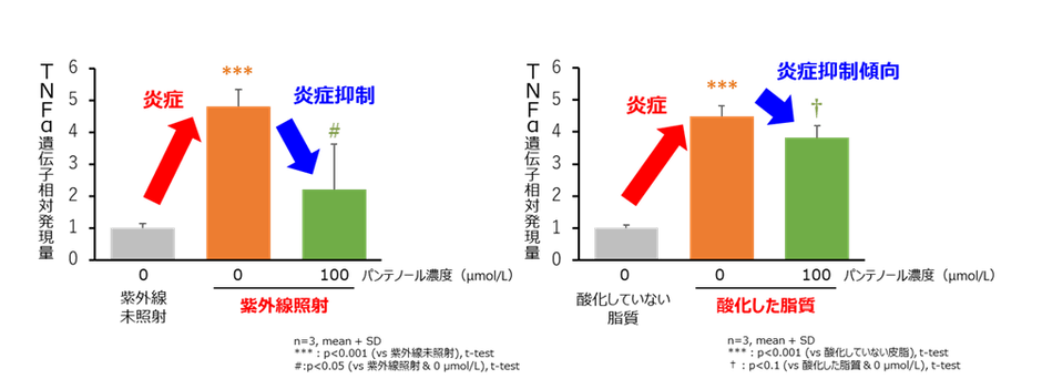 図３ 表皮細胞における紫外線及び酸化した脂質による炎症に対するパンテノールの抑制作用