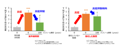 図3 表皮細胞における紫外線及び酸化した脂質による炎症に対するパンテノールの抑制作用