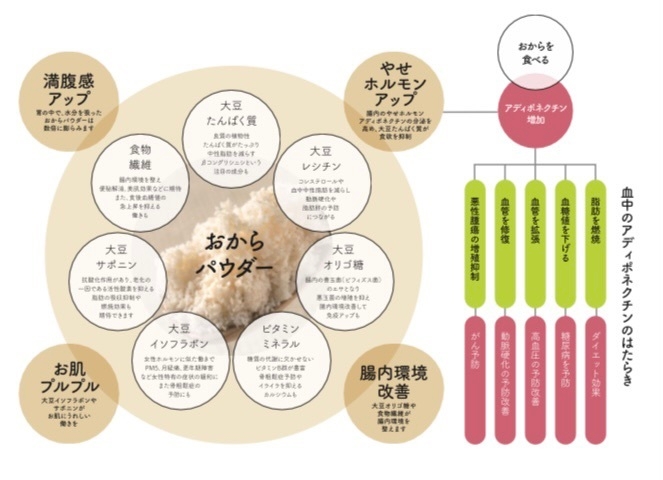 おからパウダーの働き