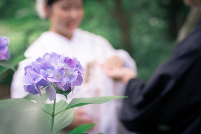 この時期ならではの紫陽花と和装前撮りが楽しめる
