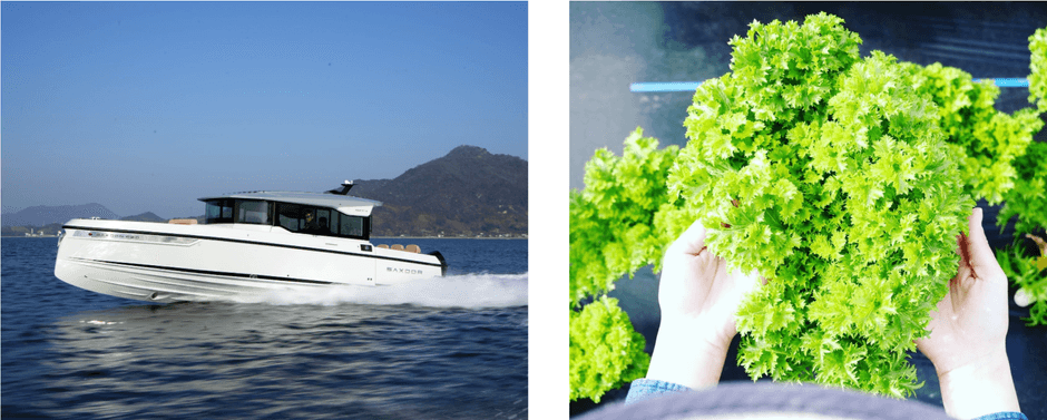 SAXDOR、しまなみリーフ